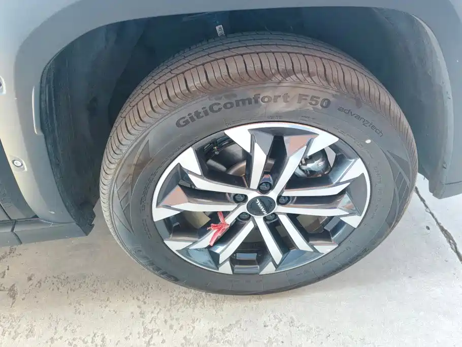 Haval Big Dog PLUS — миниатюра 6