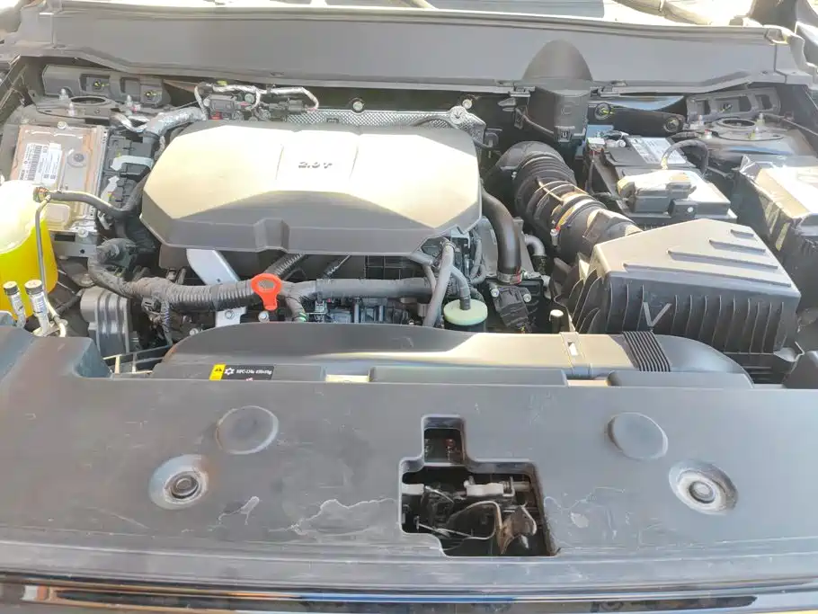 Haval Big Dog PLUS — миниатюра 10