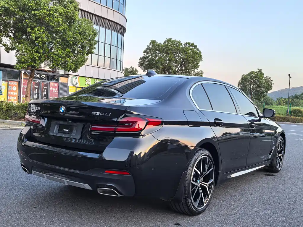 BMW 5 Series — миниатюра 18