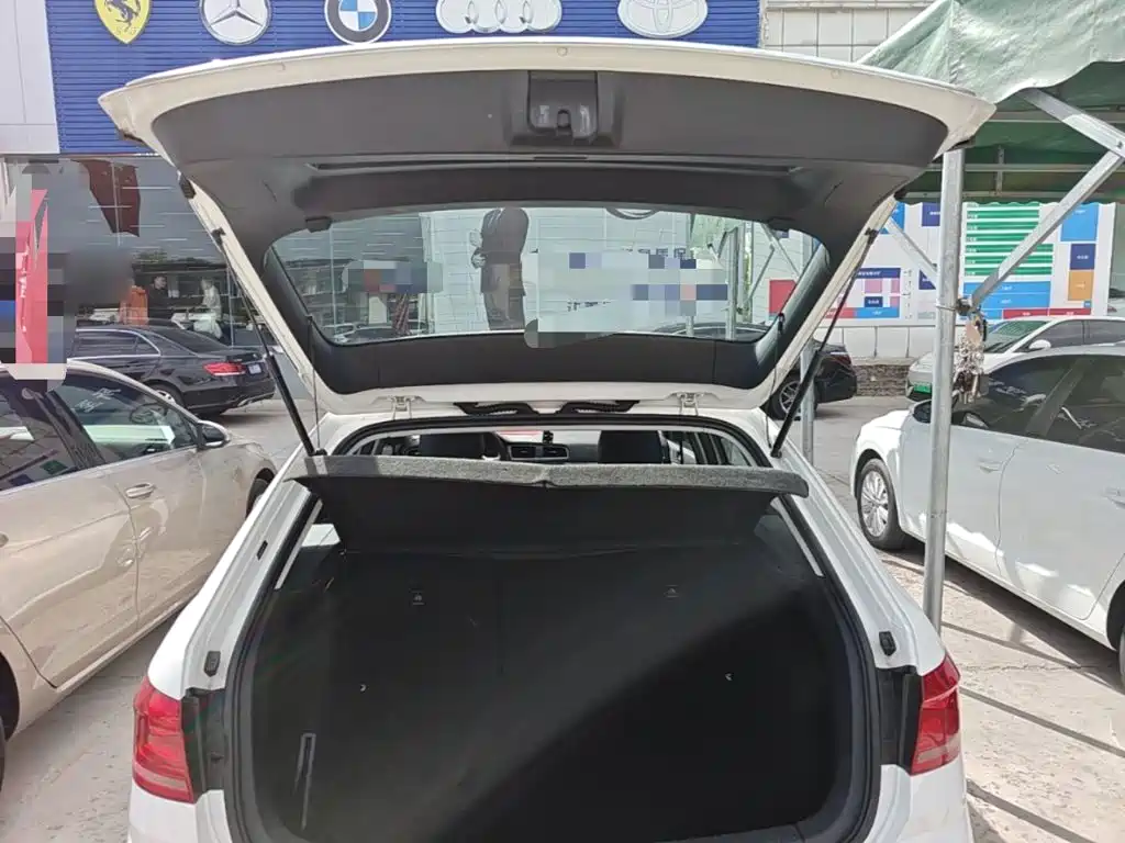 Volkswagen Gran Lavida — миниатюра 19