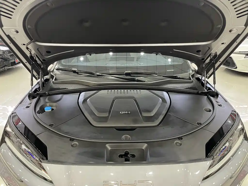 BYD PLUS New Energy — миниатюра 13