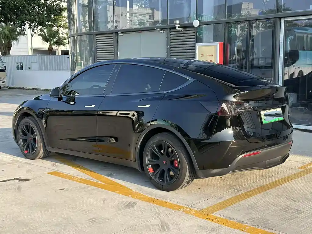 Tesla Model Y — миниатюра 6