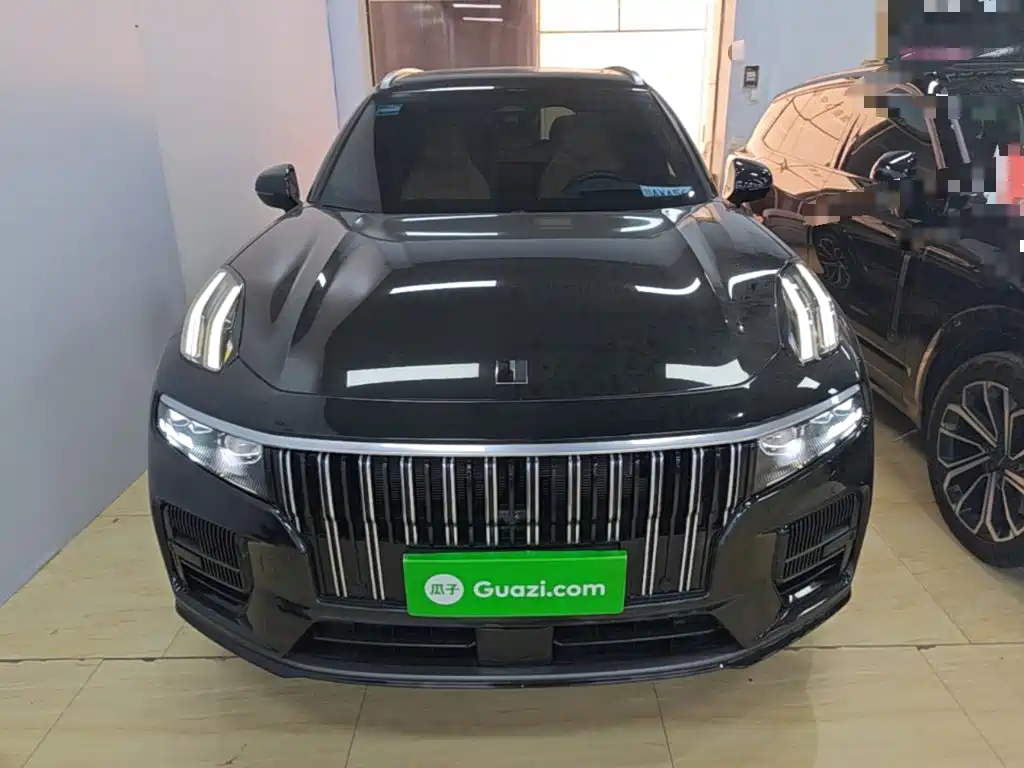 Lynk & Co 09 2024 2.0T Sport мест