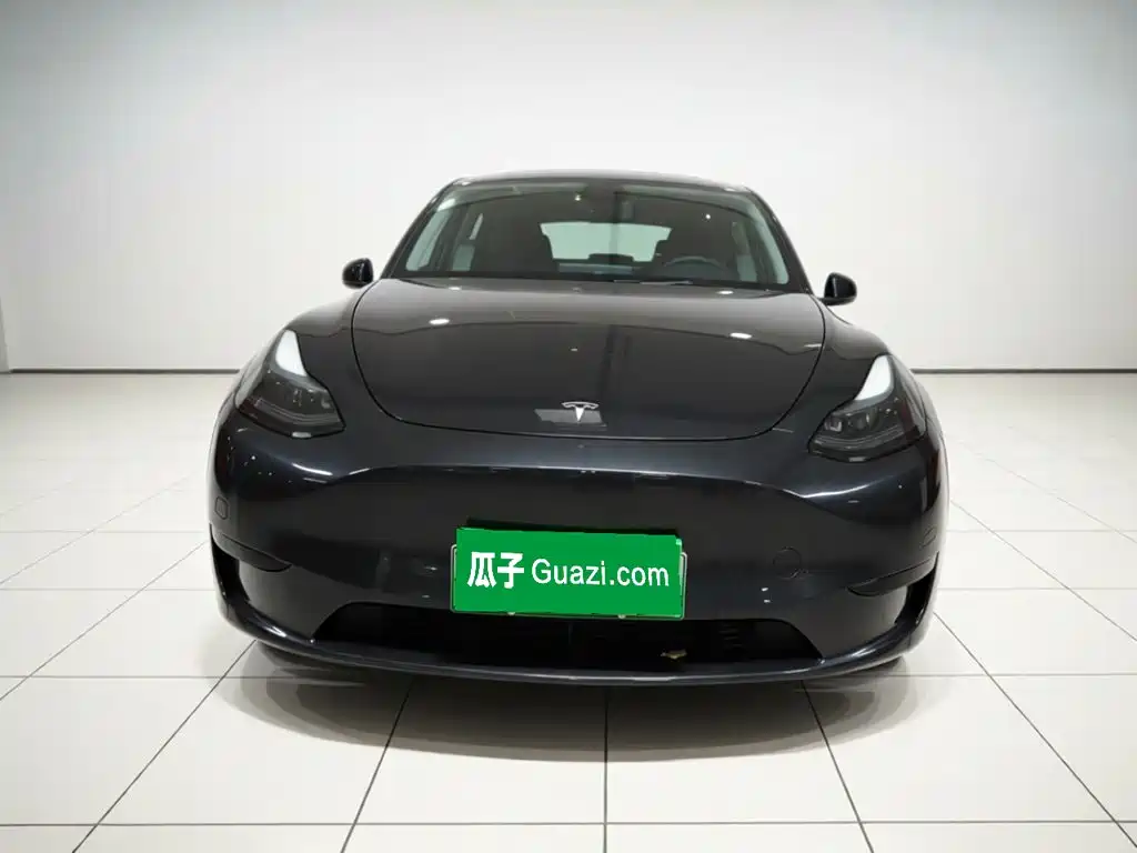 Tesla Model Y — миниатюра 2
