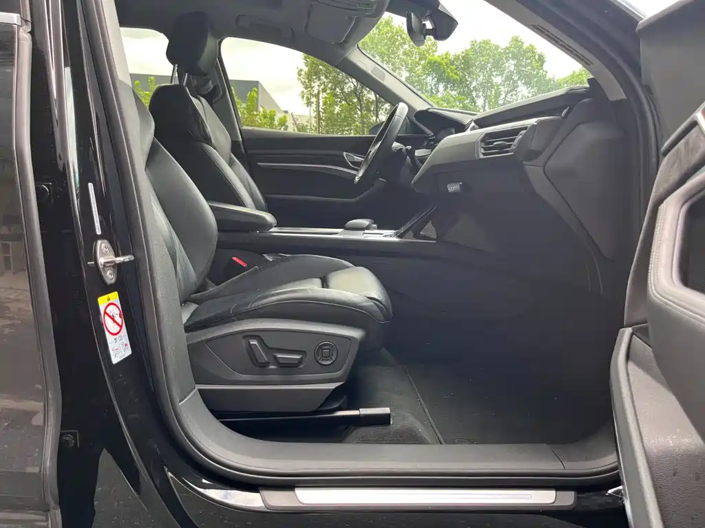 Audi e-tron (Import) — миниатюра 8