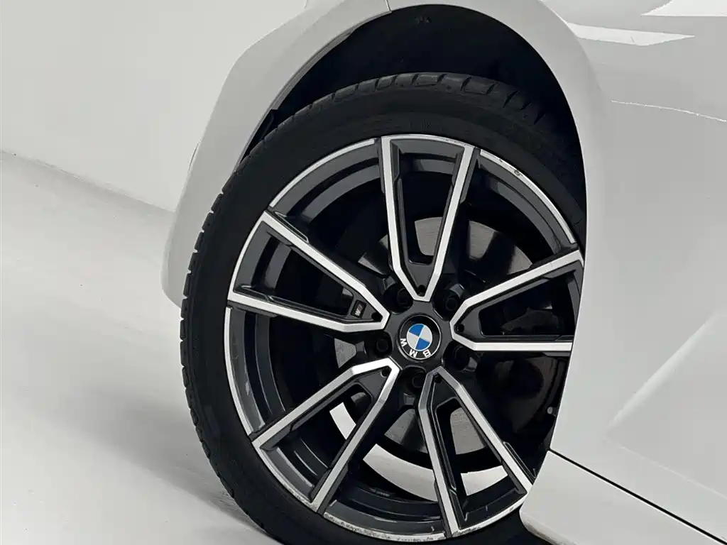 BMW 3 Series 3 2022 320Li M Sport