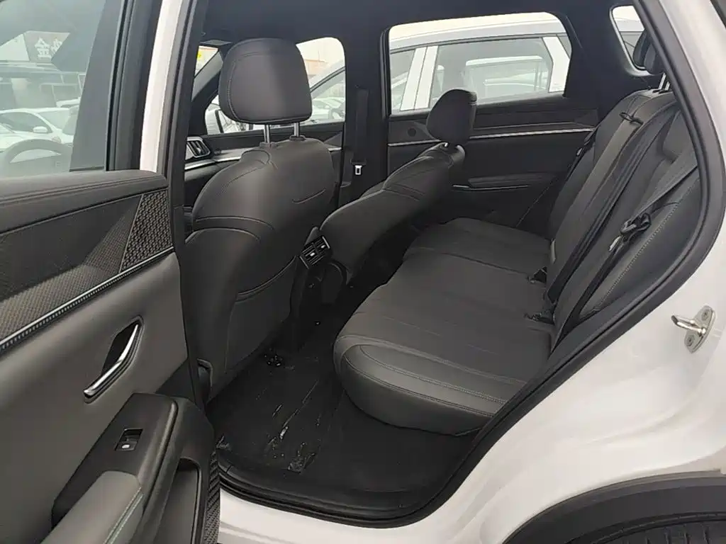 BYD Pro New Energy — миниатюра 17