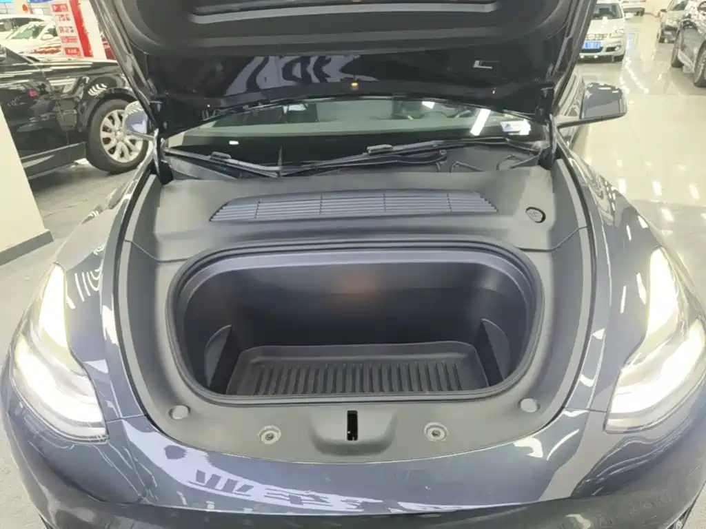 Tesla Model Y — миниатюра 20