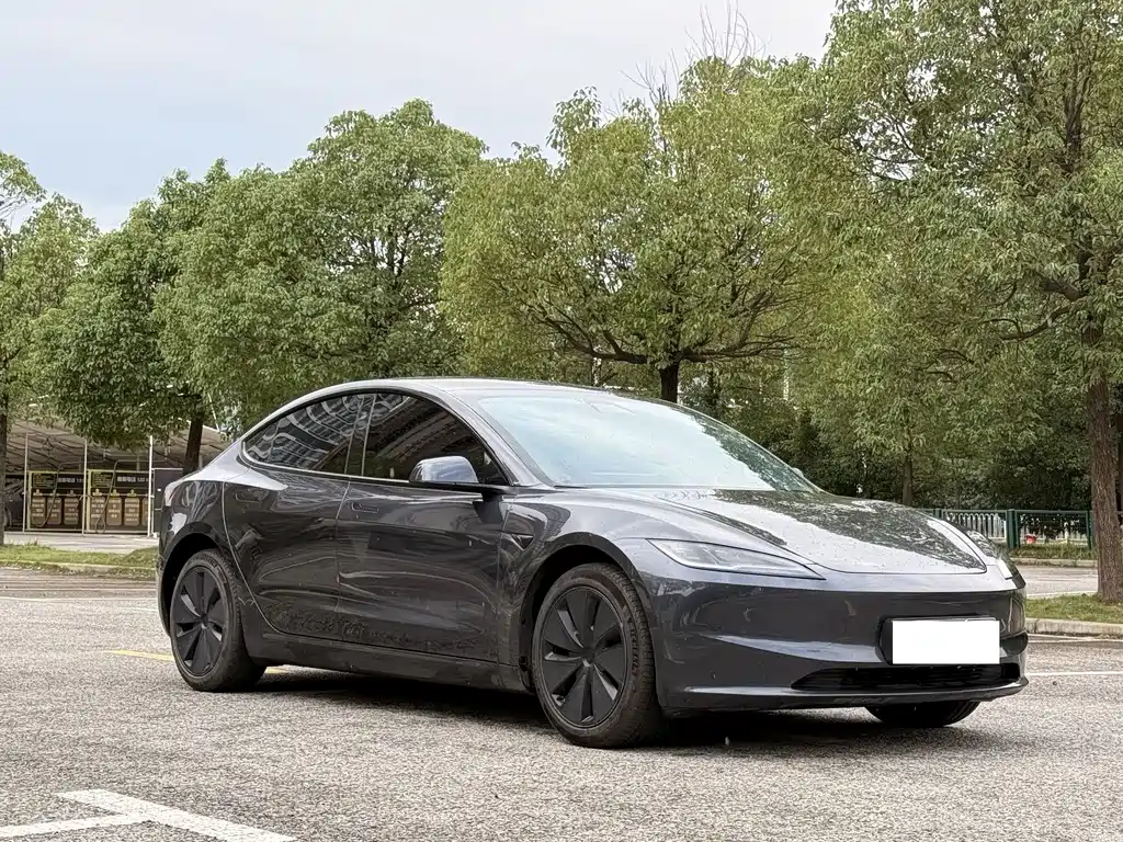 Tesla Model 3 — миниатюра 3