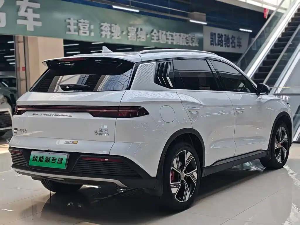 BYD Pro New Energy — миниатюра 6