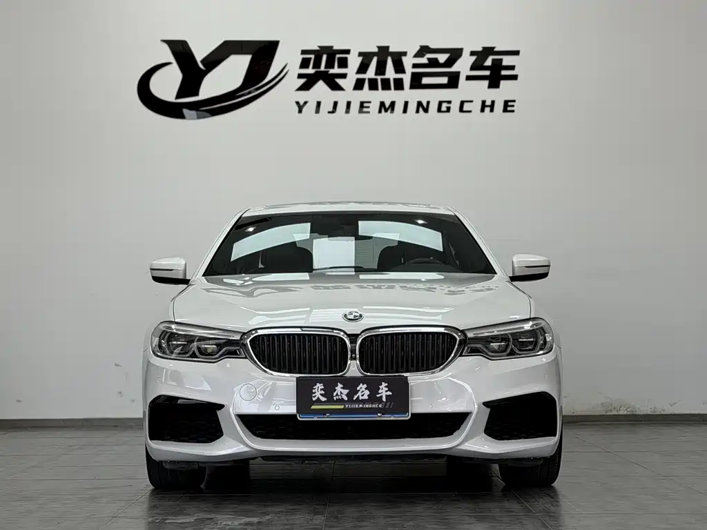 BMW 5 Series 5 2019 530Li Premium M Sport