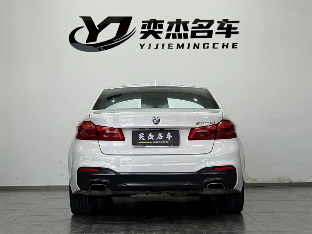 BMW 5 Series 5 2019 530Li Premium M Sport