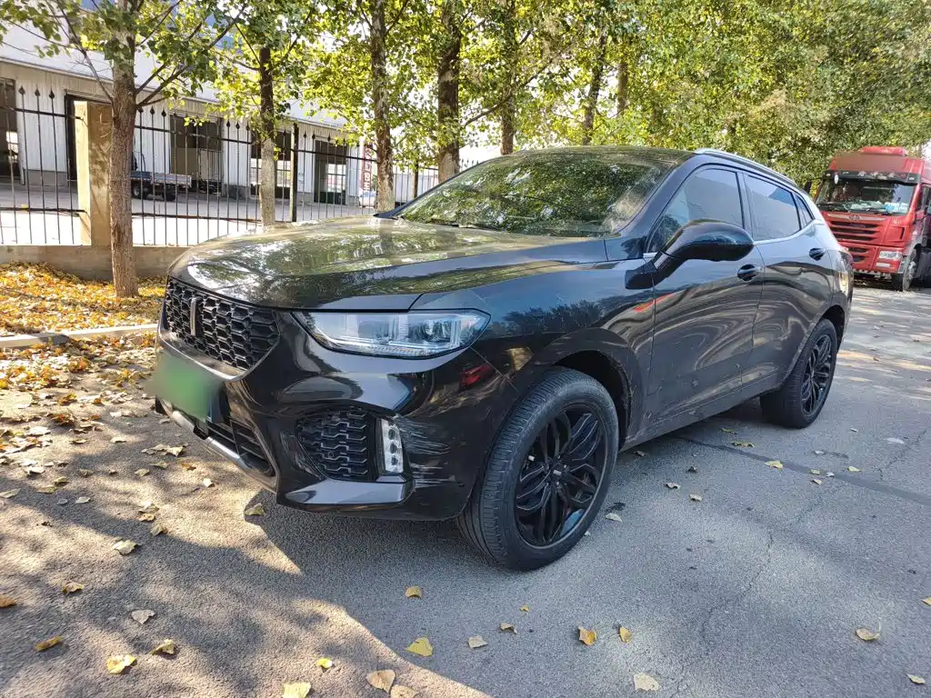 Wey Wey VV5 — миниатюра 2