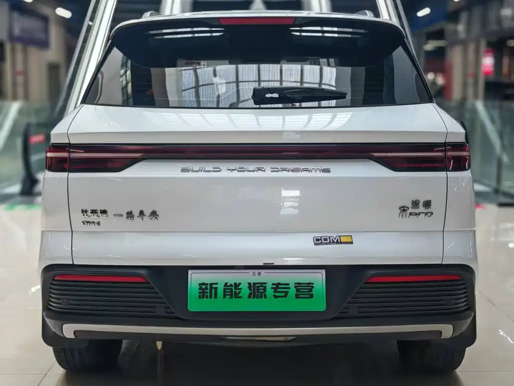 BYD Pro New Energy — миниатюра 4