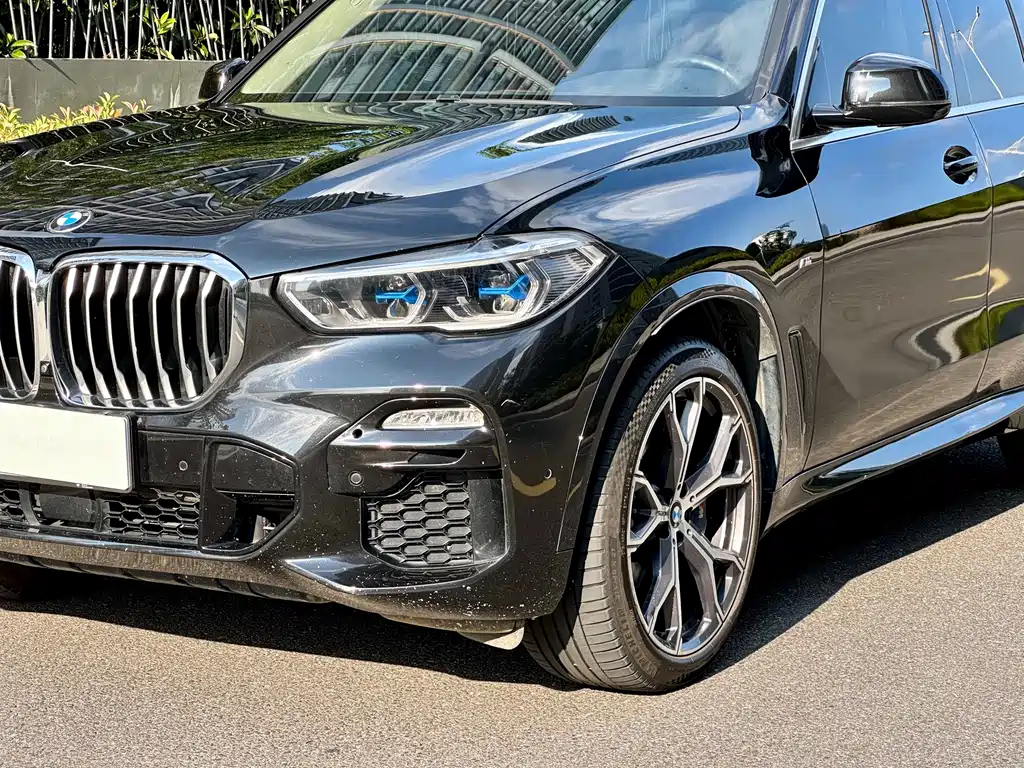 BMW X5 (Import) — миниатюра 3