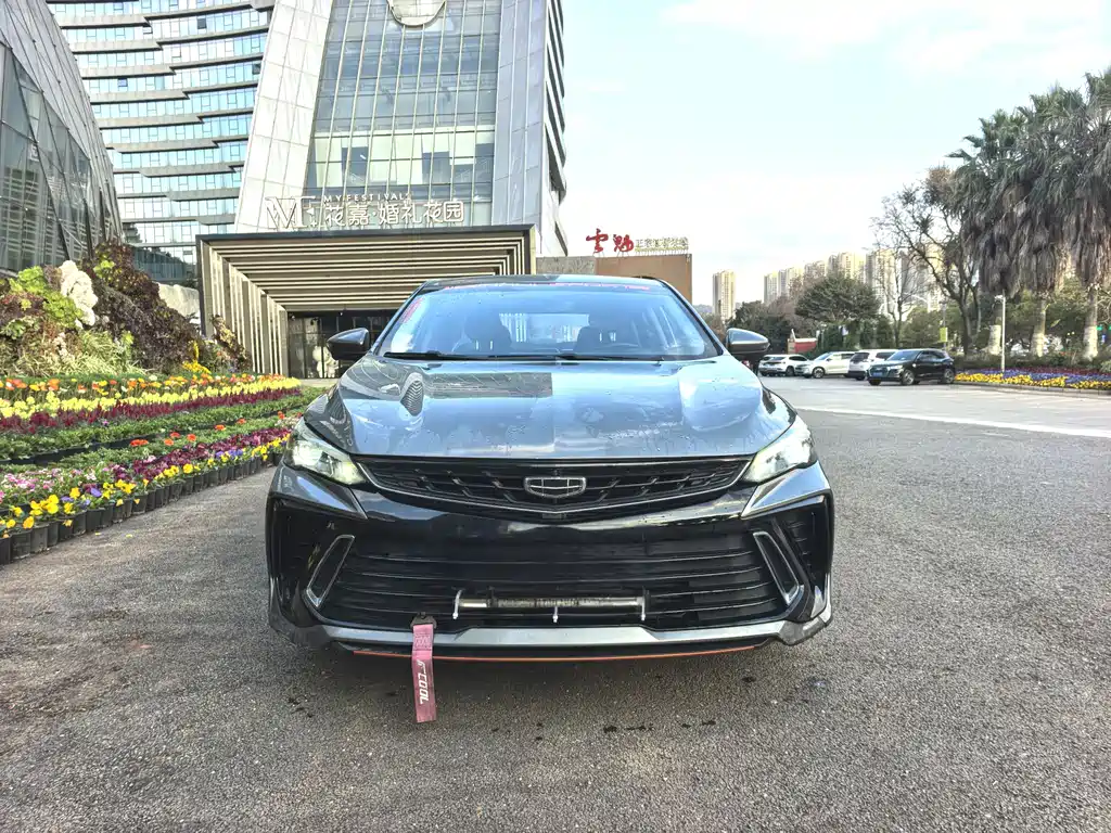 GEELY AUTOMOBILE BINRUI