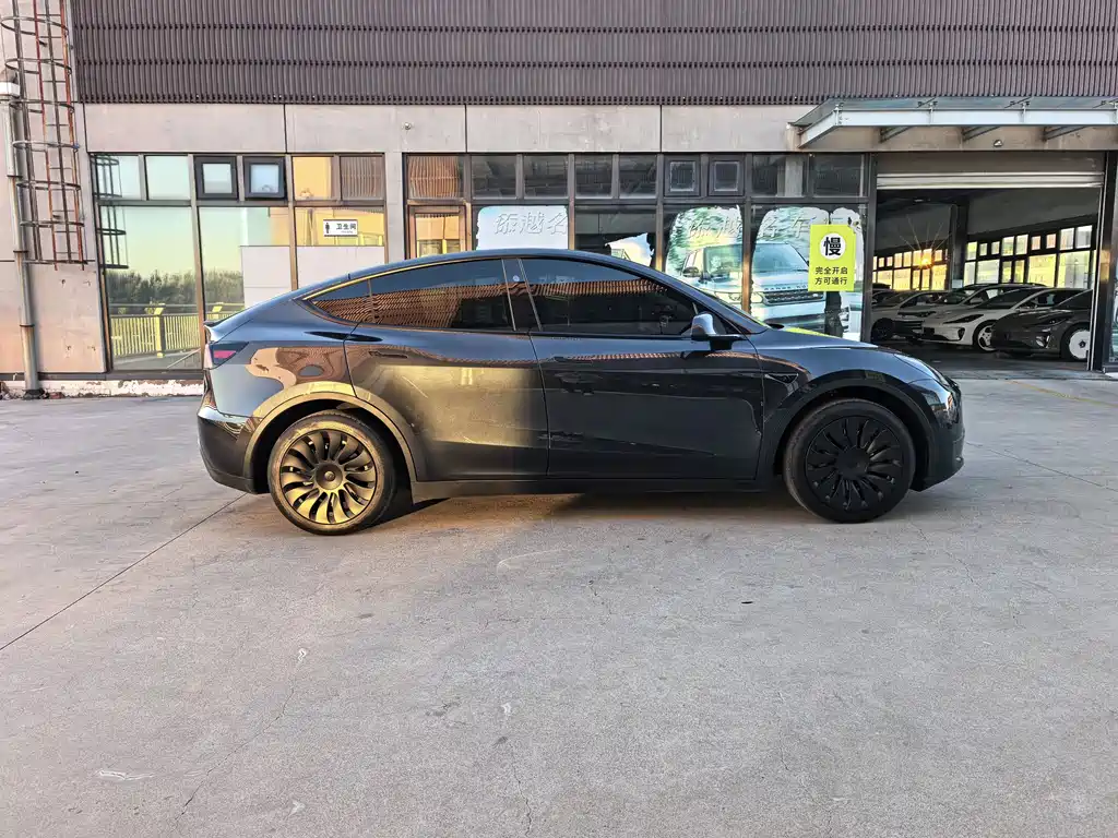 Tesla Model Y — миниатюра 4