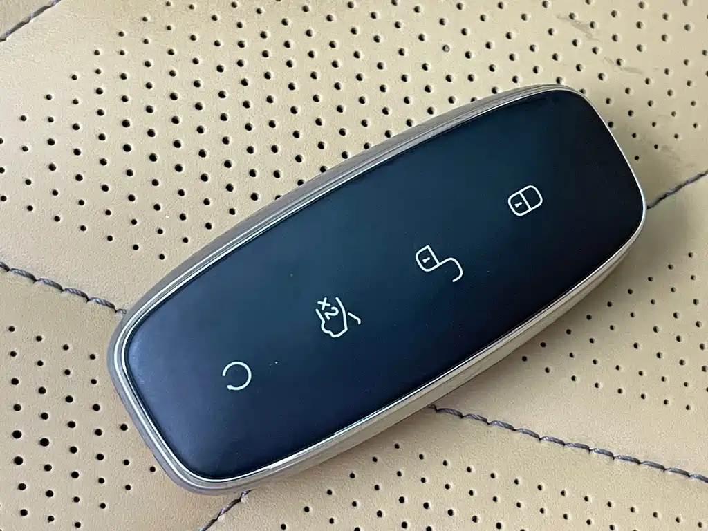 Denza Denza D9 — миниатюра 17