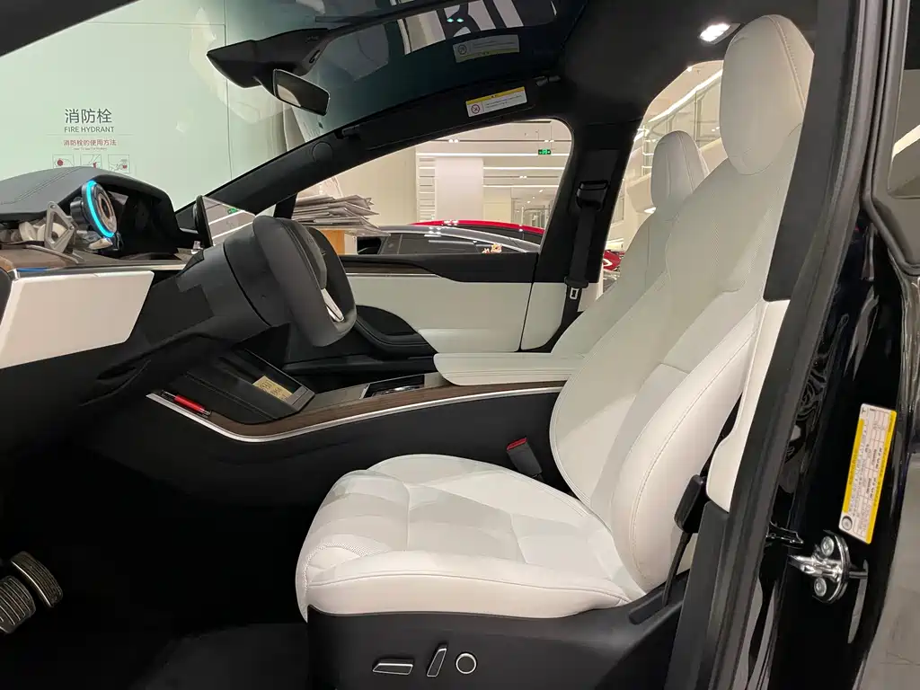 Tesla Model X — миниатюра 6