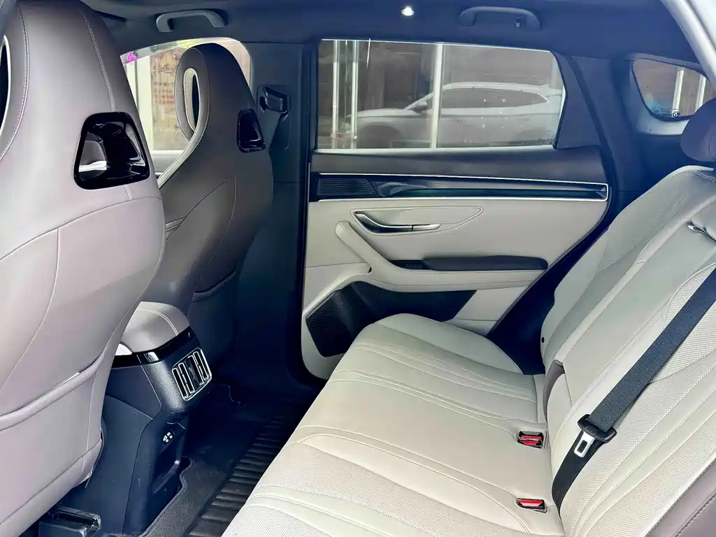 BYD PLUS New Energy — миниатюра 15