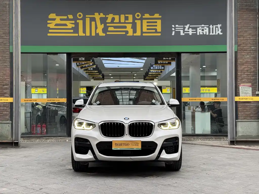 BMW X3 — миниатюра 2
