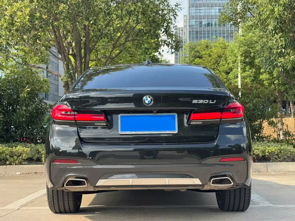 BMW 5 Series — миниатюра 4