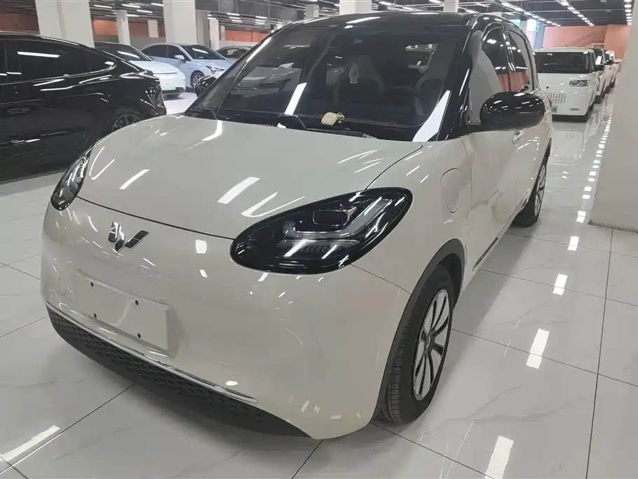 Wuling Bingo 2024
