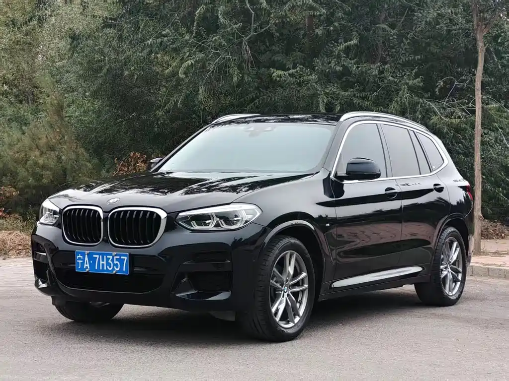 BMW X3 — миниатюра 3