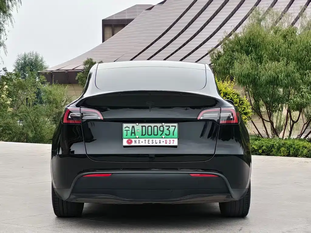Tesla Model Y — миниатюра 8