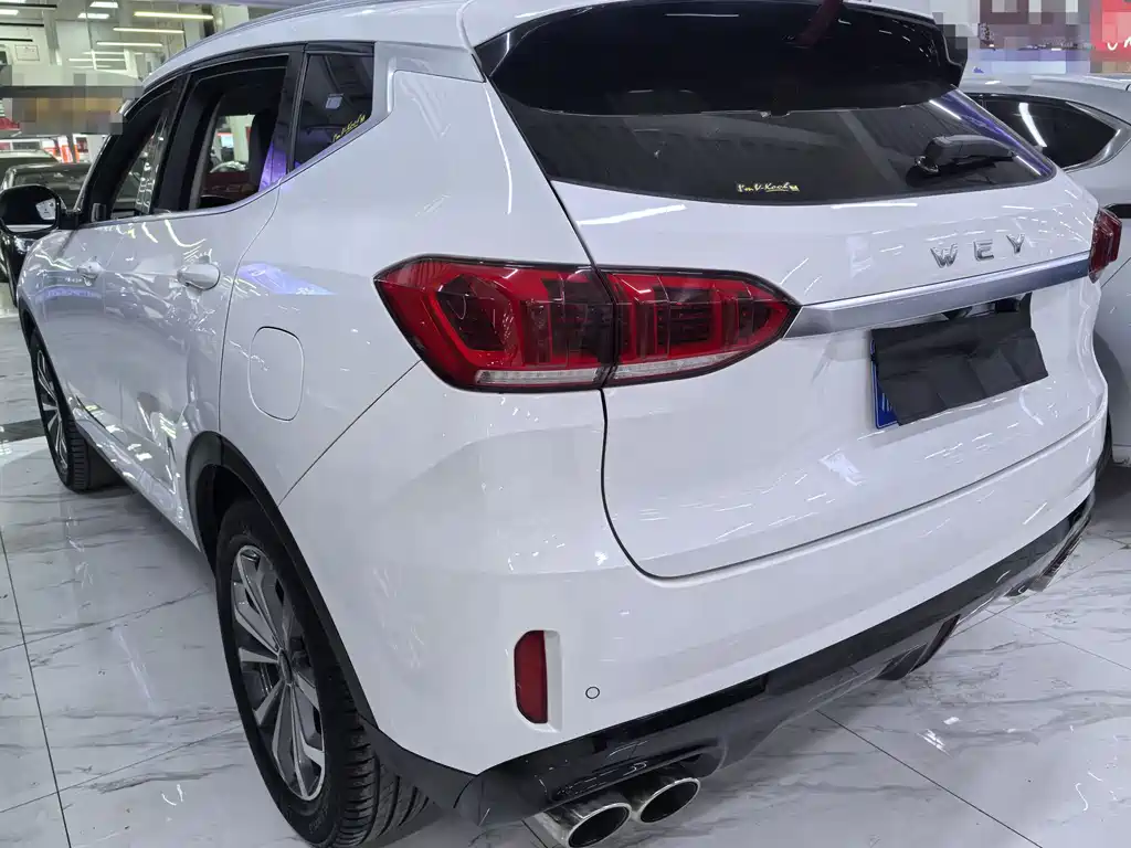 WEI PAI WEI BRAND VV6