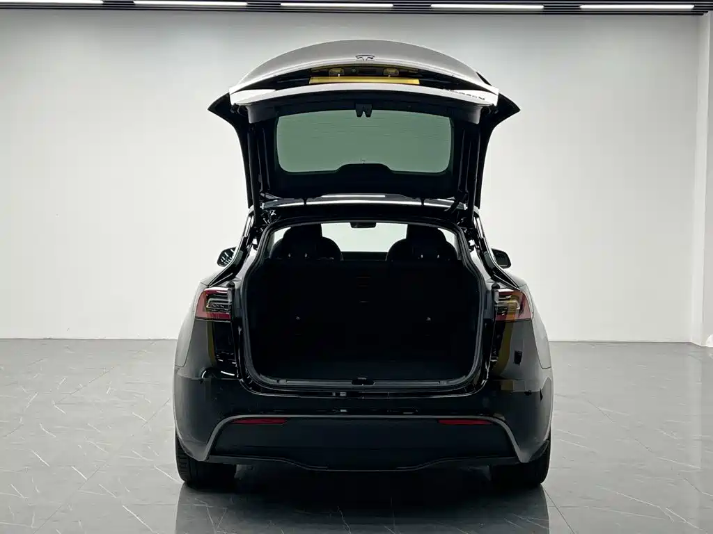 Tesla Model Y — миниатюра 11