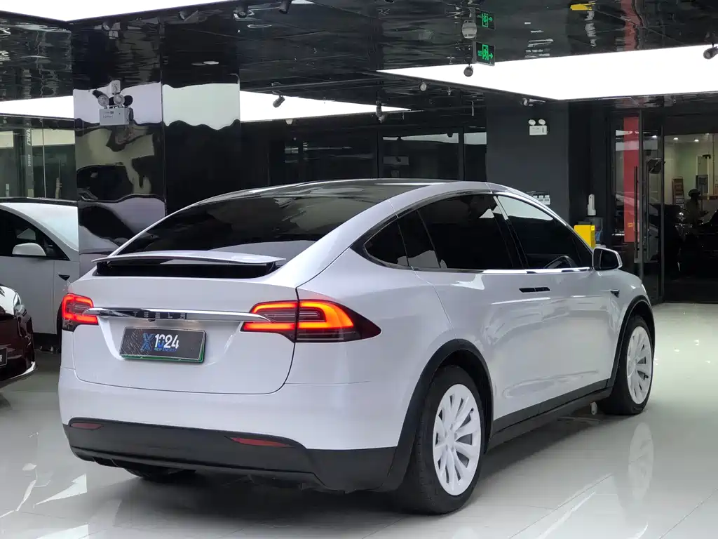 Tesla Model X — миниатюра 7