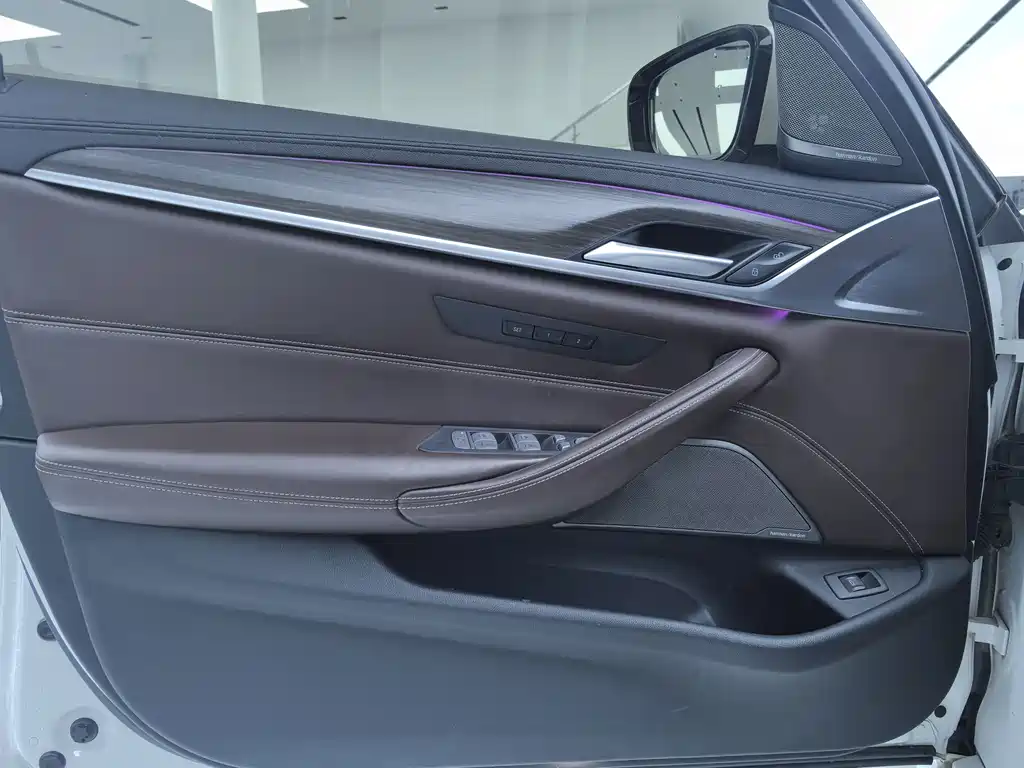 BMW 5 Series 5 2019 530Li Premium Luxury