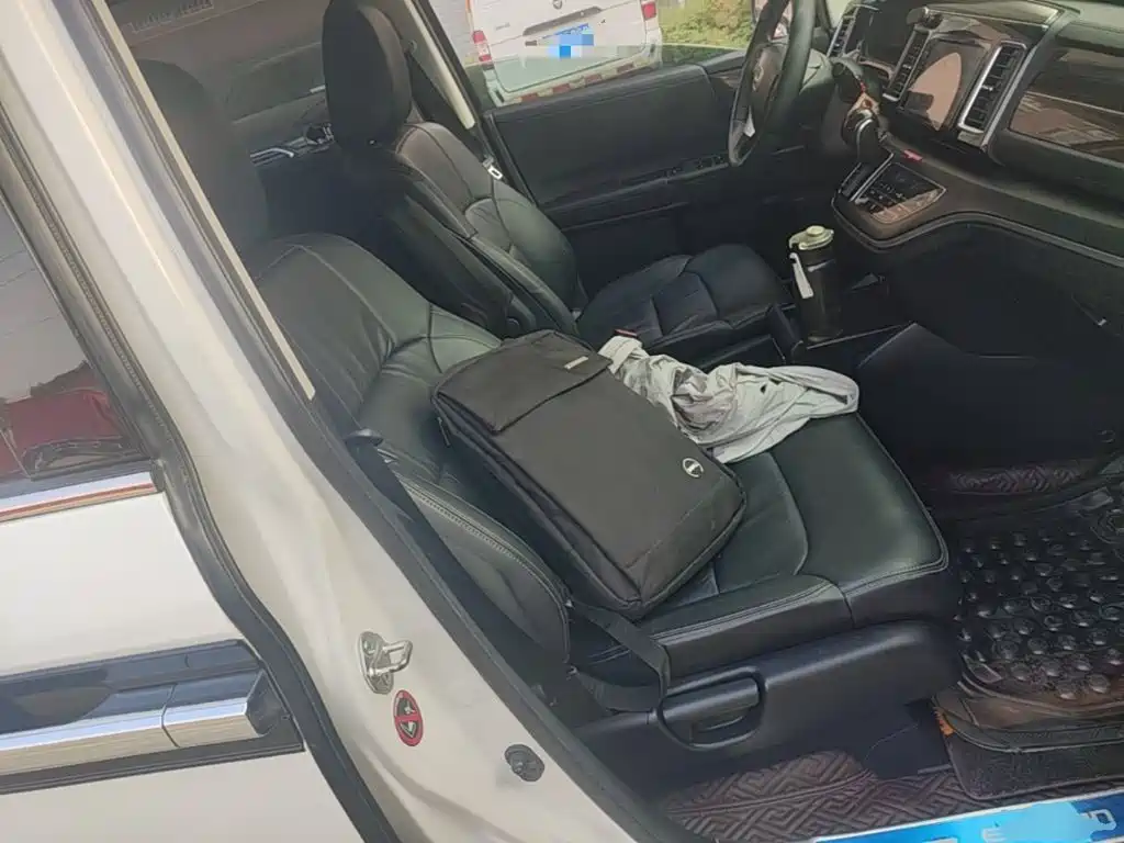 Honda Elysion — миниатюра 25