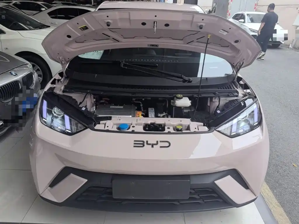 BYD Seagull — миниатюра 20