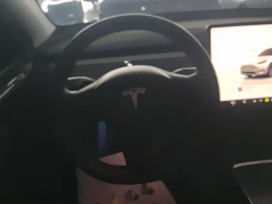 Tesla Model Y — миниатюра 15
