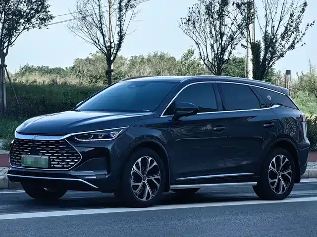 BYD TANGXIN ENERGY 2024