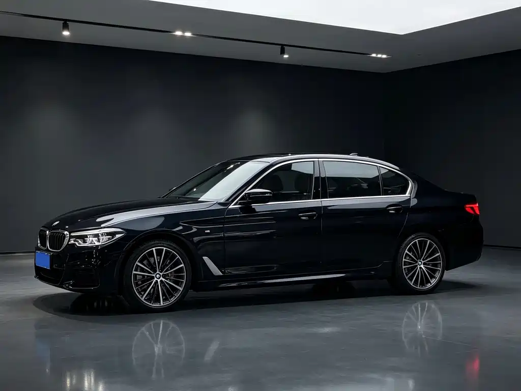 BMW 5 Series — миниатюра 4