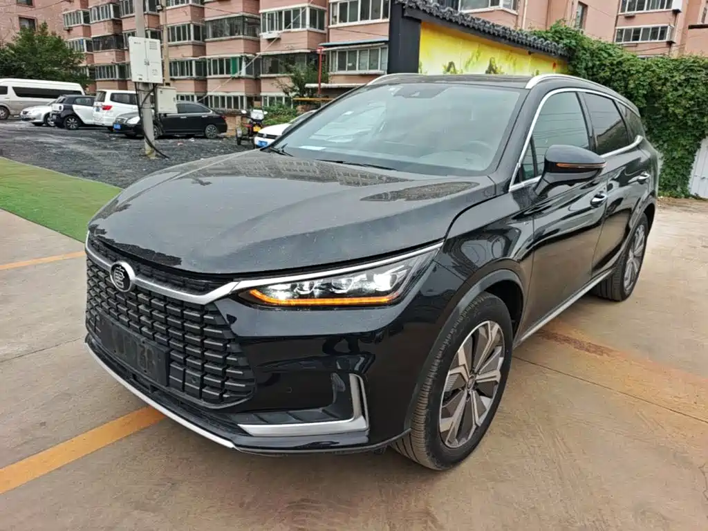 BYD Tang New Energy — миниатюра 2