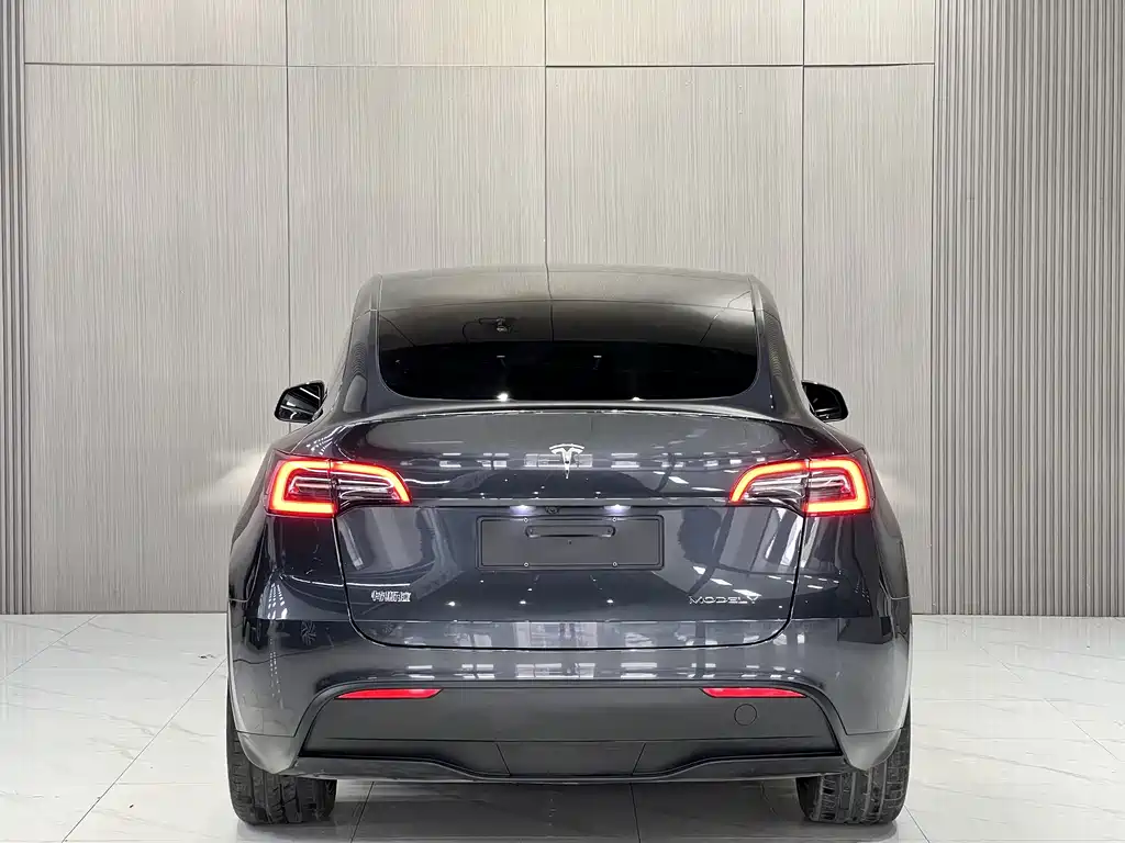 Tesla Model Y — миниатюра 9
