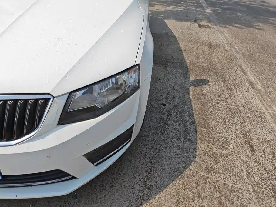 Skoda Octavia — миниатюра 5