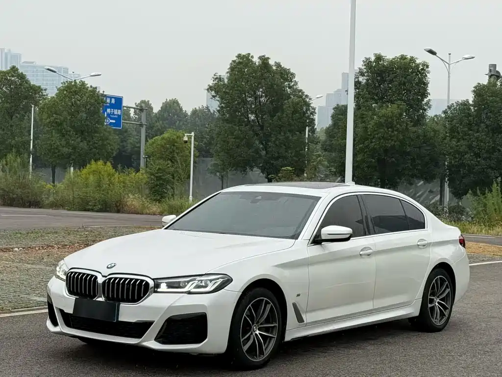 BMW 5 Series — миниатюра 3