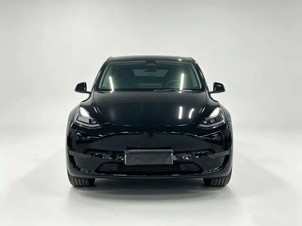 Tesla Model Y — миниатюра 2
