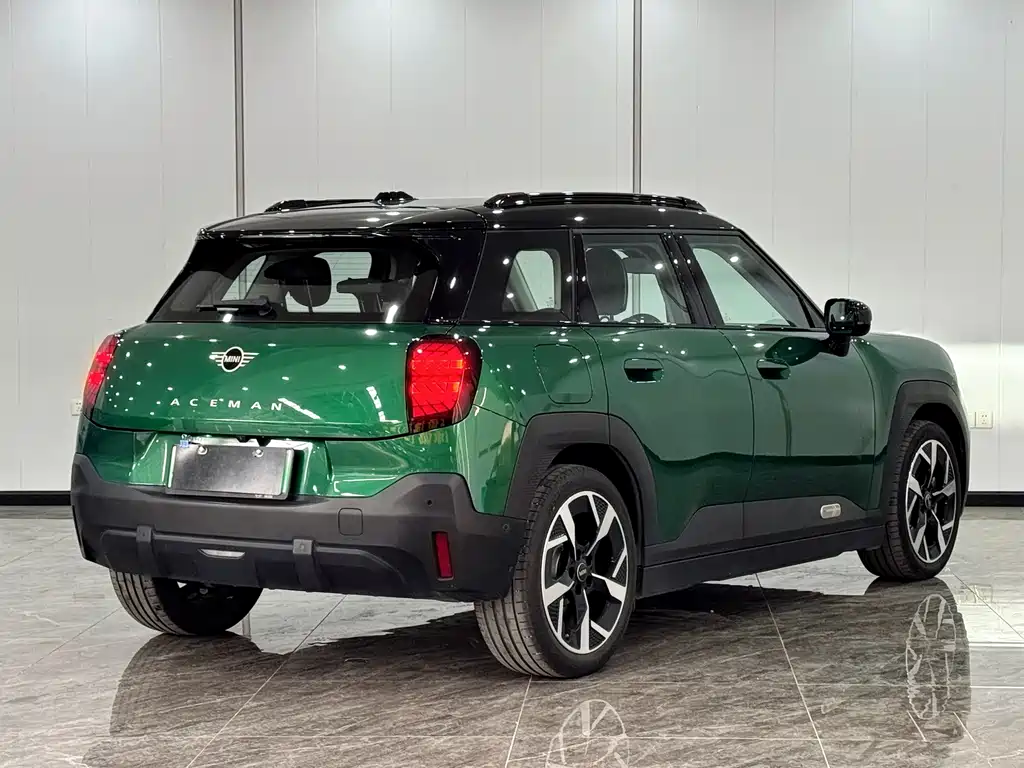 MINI MINI ACEMAN EV — миниатюра 16