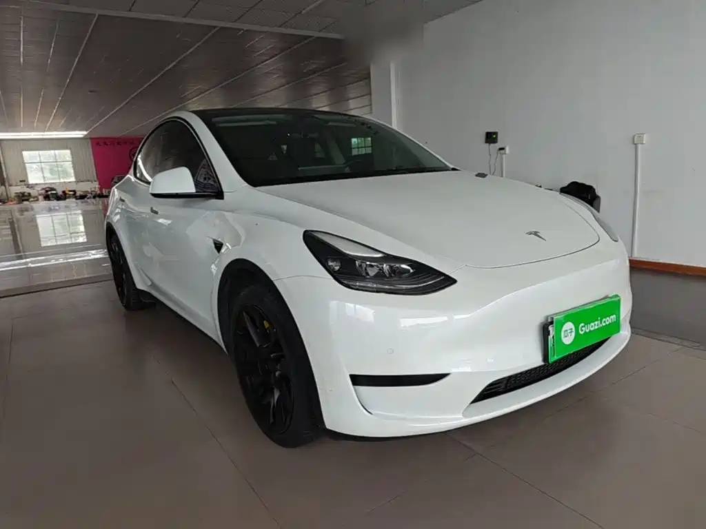 Tesla Model Y — миниатюра 4