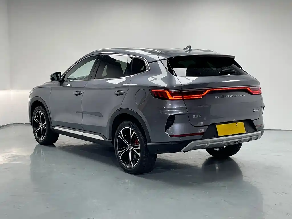 BYD PLUS — миниатюра 6