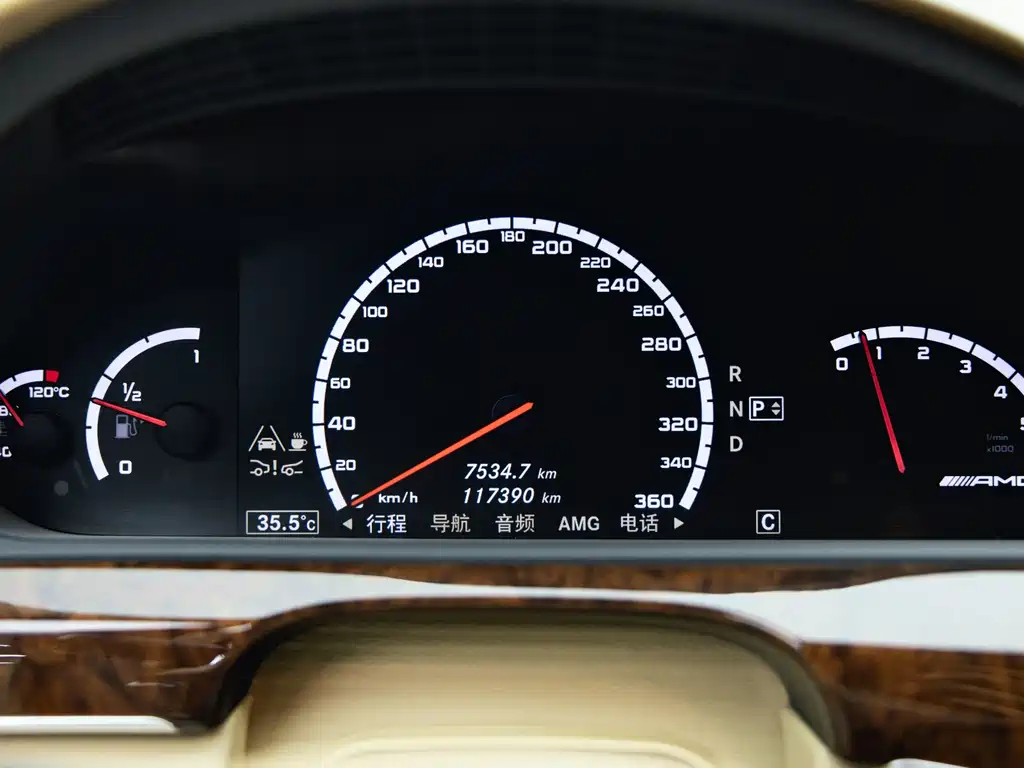 Mercedes-Benz S-Class AMG AMG S 65 L Grand Edition, фото 13
