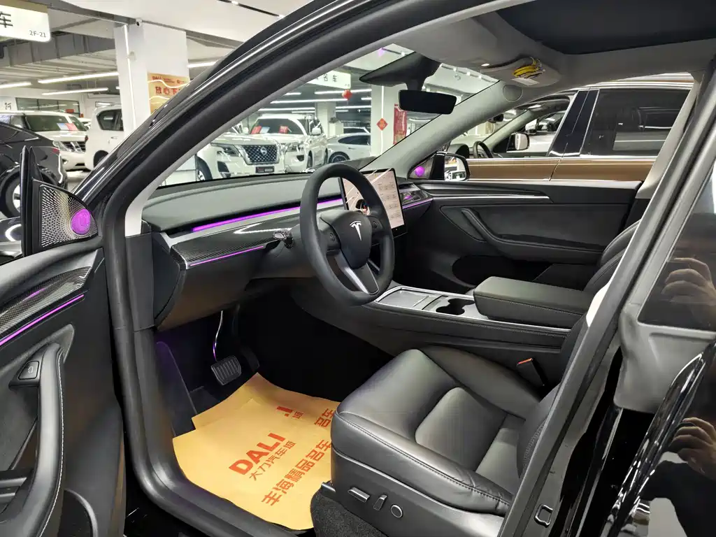 Tesla Model Y — миниатюра 4