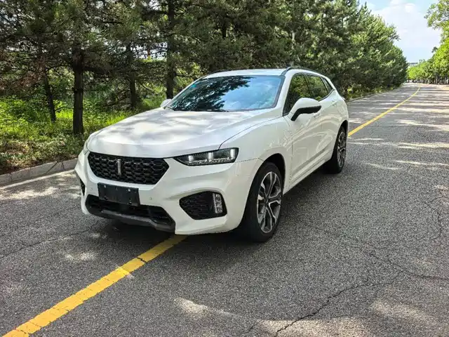 2018 Wey VV7