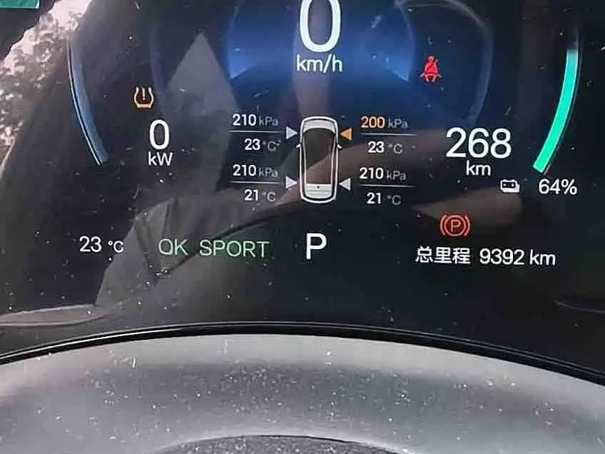 BYD Dolphin — миниатюра 2